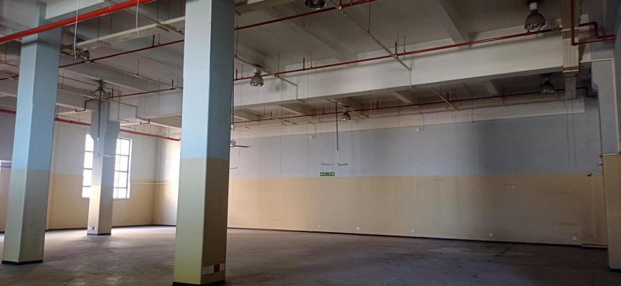 To Let commercial Property for Rent in Cape Town City Centre Western Cape